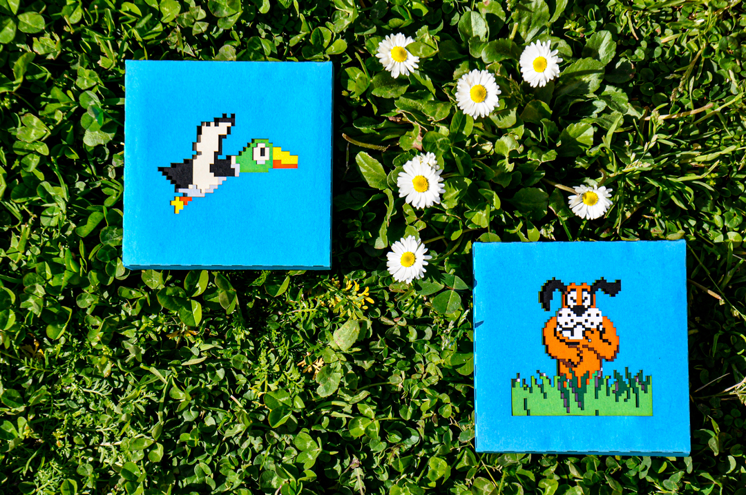 Duck Hunt Duo All 01